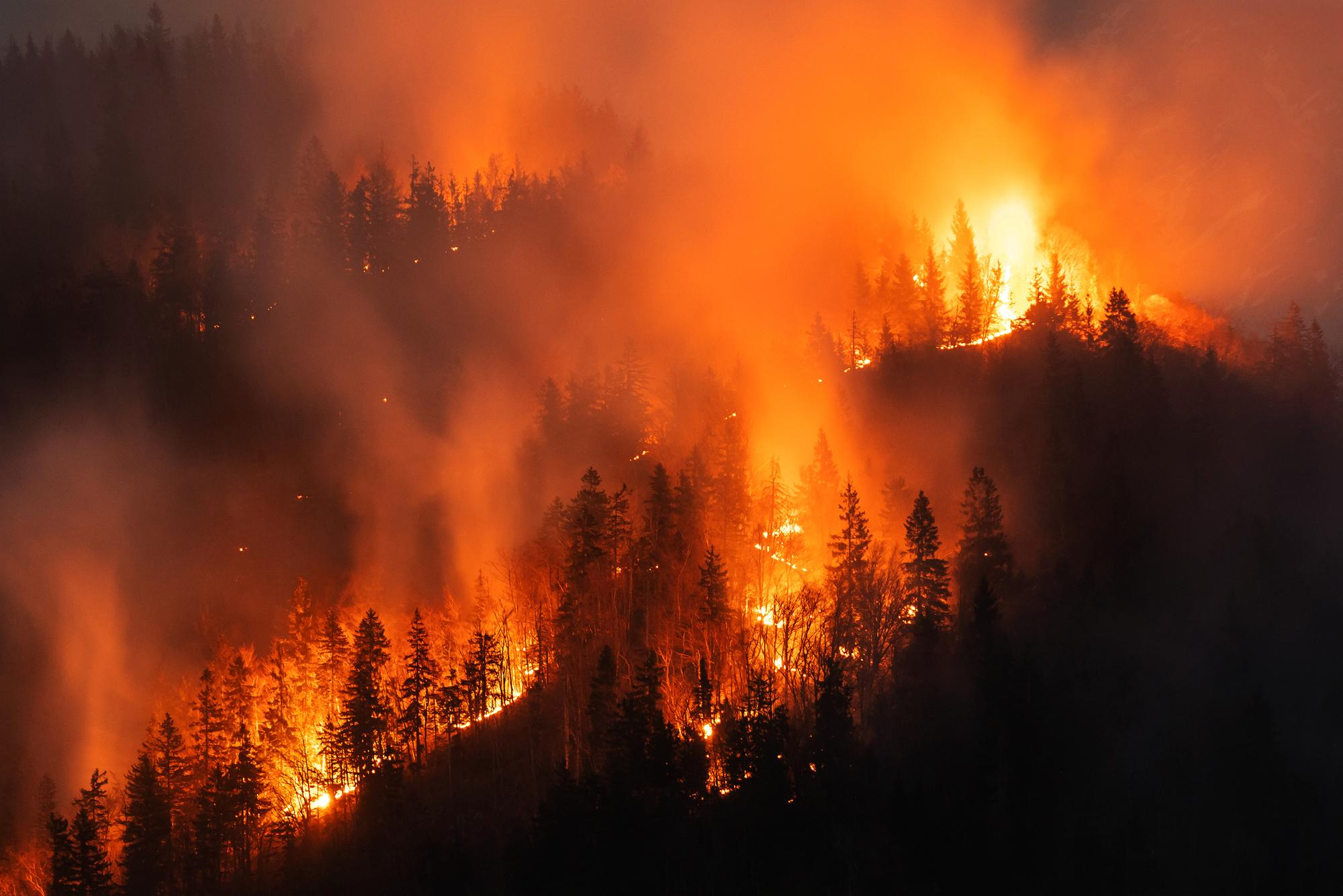 raging wildfire and smoke in the forest